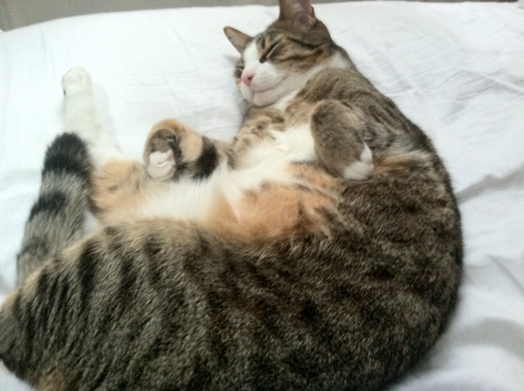 国际名宿助阵中国足球，传授宝贵经验，中国足球民宿