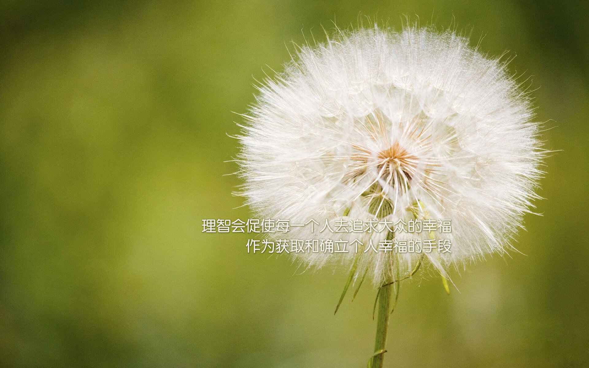 国际名宿助阵中国足球，传授宝贵经验，中国足球民宿